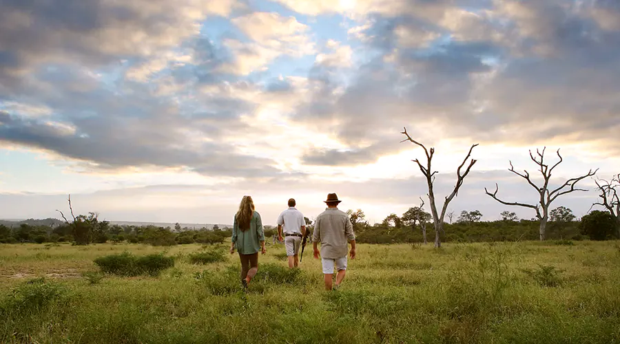 Walking & Birding Safari