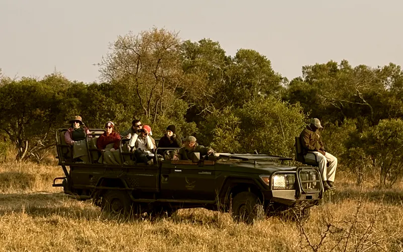First Safari
