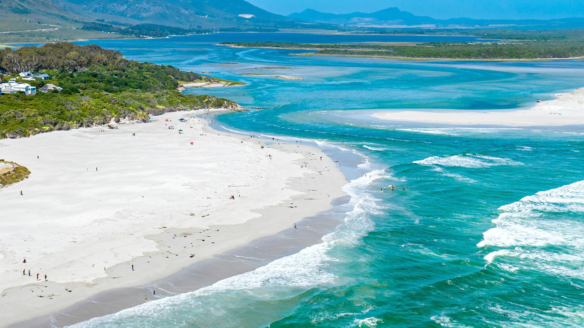 Hermanus