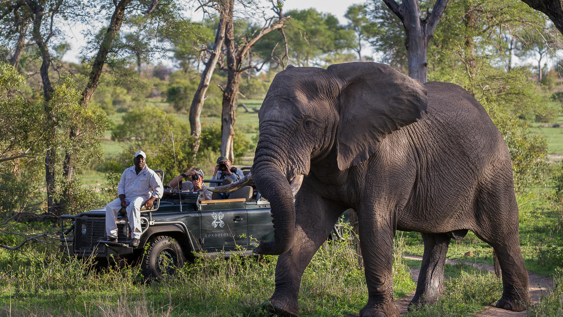 Slow Safari Luxury Moments