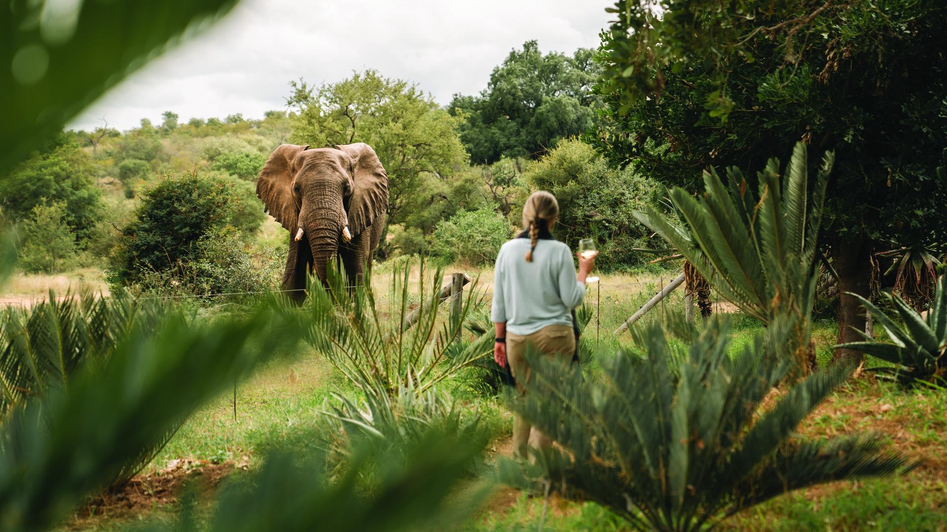 Slow Safari Luxury Moments