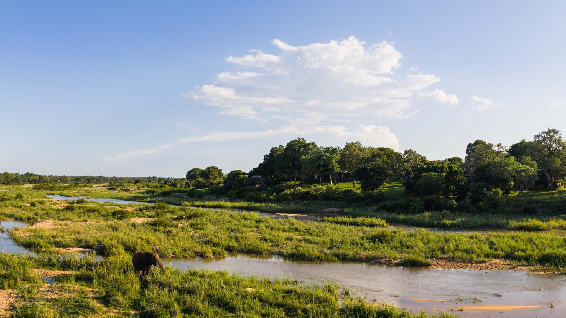 The Kruger National Park