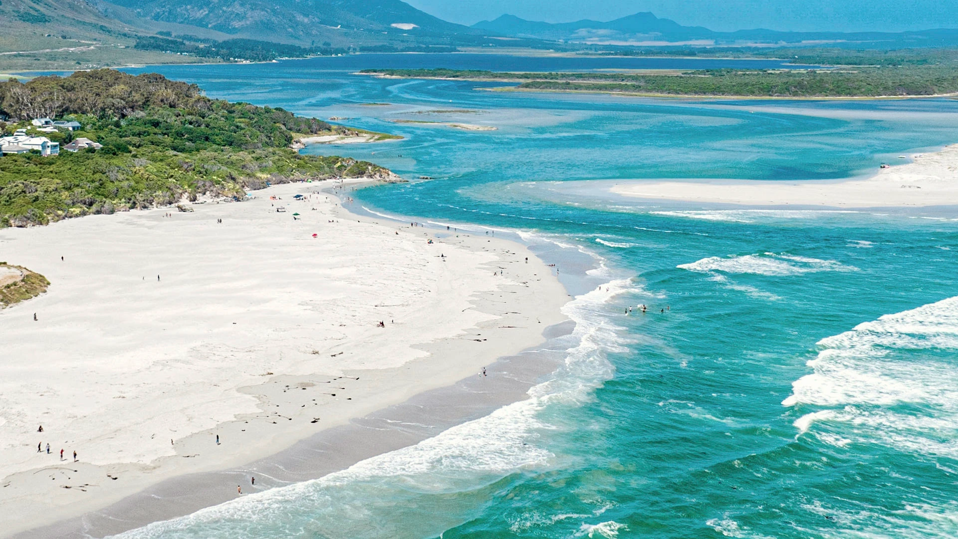 The Whale Coast