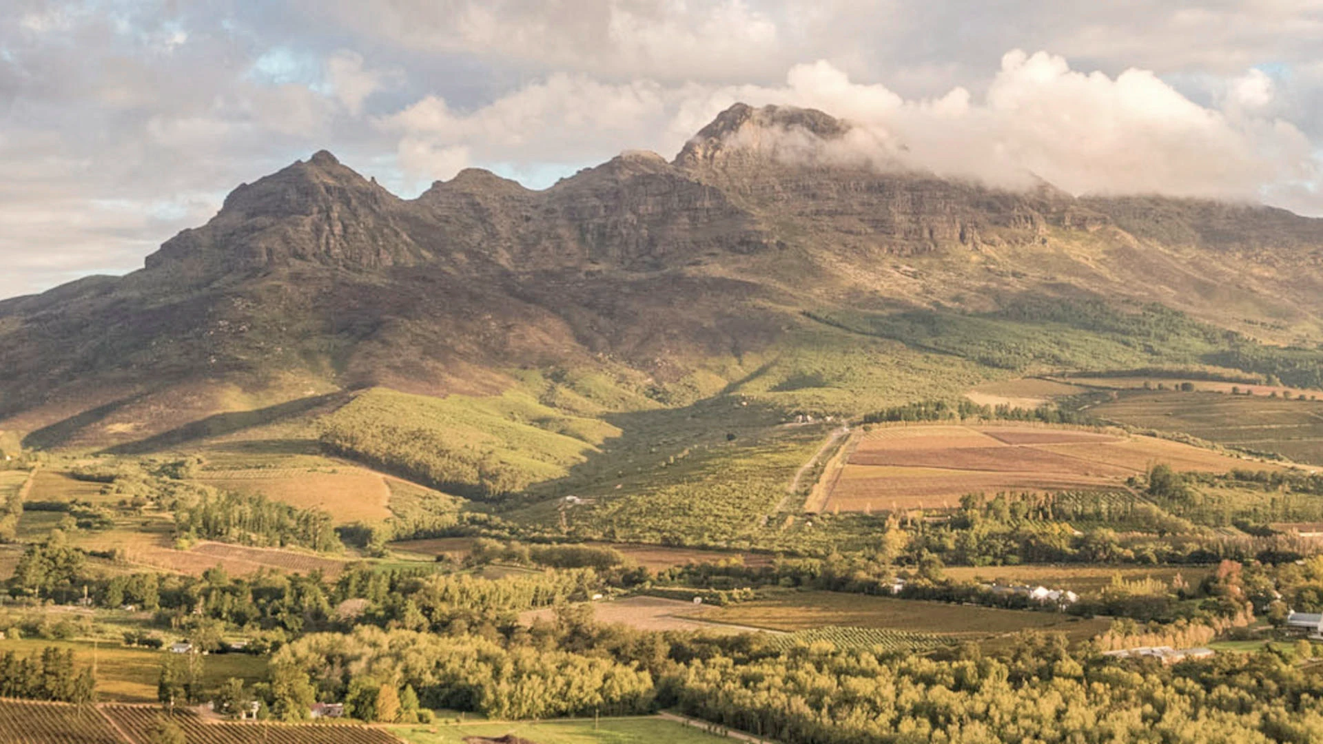 Stellenbosch